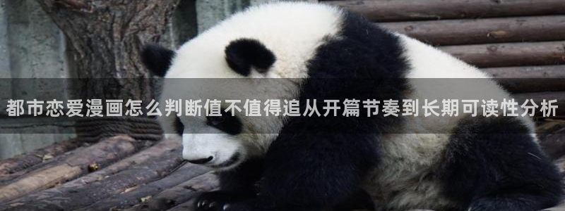 梦漫漫画APP功能：都市恋爱漫画怎么判断值不值得追从开篇节奏到长期可读性分析