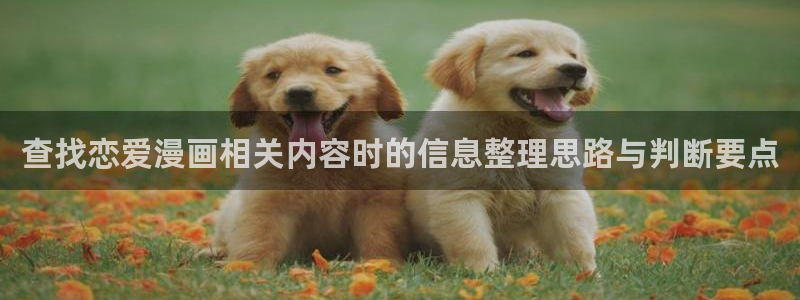 梦漫漫画日漫推荐：查找恋爱漫画相关内容时的信息整理思路与判断要点
