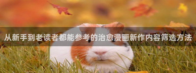 梦漫漫画作品导航：从新手到老读者都能参考的治愈漫画新作内容筛选方法